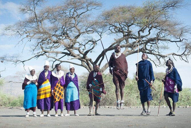 Savannah Escape & Active Culture Tour - Day 1 Tarangire: elephants, baobabs, and river-swap wildlife patterns