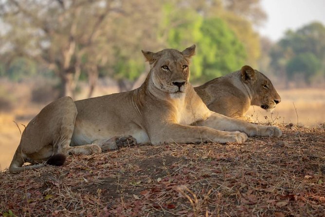 Selous/Nyerere National Park Day Trip - Key things I’d bet on for your day