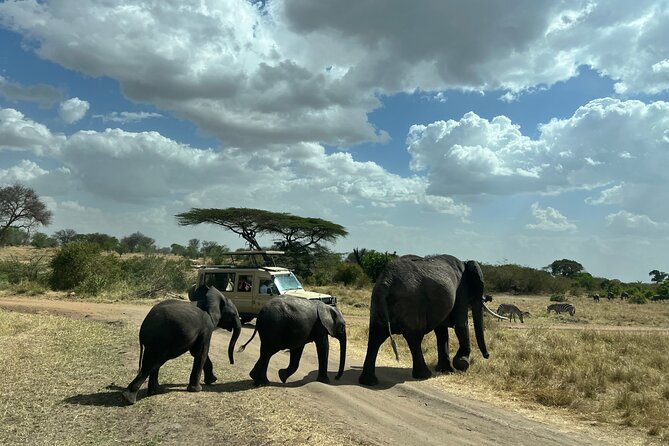 Serengeti 2-Day Safari from Mwanza - 4x4 Jeep logistics: small group energy, plus a comfort reality check