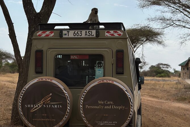Serengeti 2-Day Safari from Mwanza - Who this Serengeti 2-day from Mwanza is best for