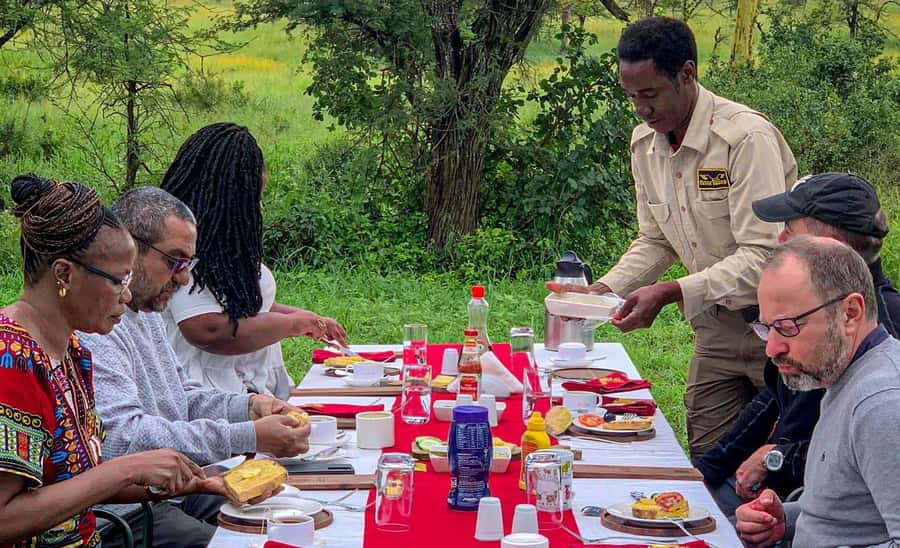 Serengeti Balloon Ride and Luxury Bush Breakfast - Why a Serengeti balloon morning beats a standard game drive