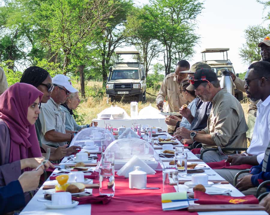 Serengeti Balloon Ride and Luxury Bush Breakfast - What to bring, what not to do, and how to avoid small annoyances