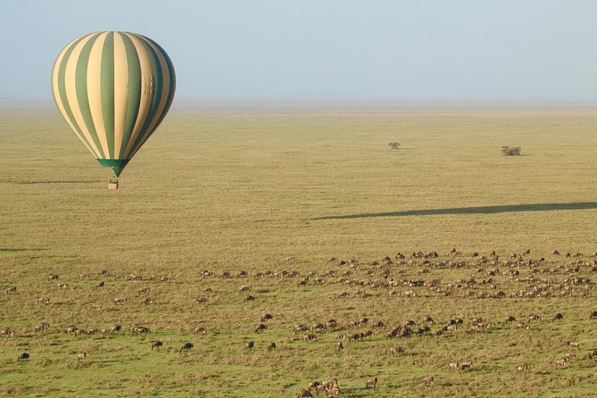 Serengeti Balloon Safari and authentic bush breakfast - Breakfast Under an Acacia, Plus Bubbly After Landing