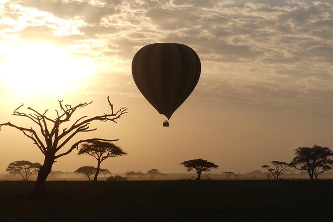 Serengeti Day Trip Tour from Mwanza - Seronera area and the big cat odds you’re aiming for