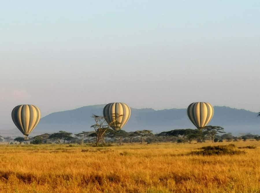 Serengeti: Hot Air Balloon Flight with Champagne Breakfast - The Champagne Celebration and Bush Breakfast, Right After Landing