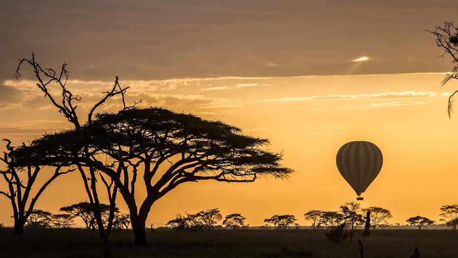 Serengeti National Park: Balloon Safari at Dawn - About one hour in the air, spotting wildlife from above