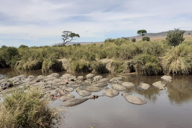 SERENGETI NATIONAL PARK Tour - Day 5: Ngorongoro Crater Before 6 pm, and Why That Timing Matters