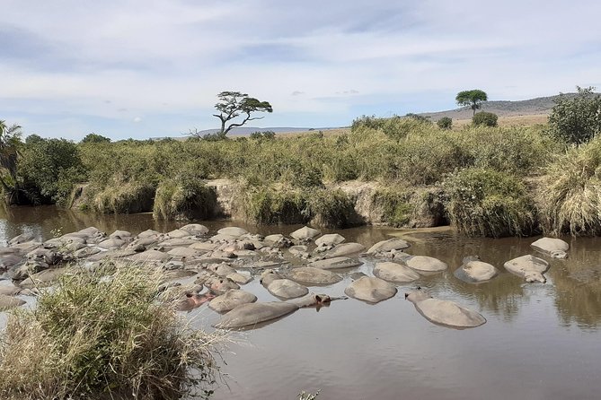SERENGETI NATIONAL PARK Tour - Day 6: Lake Manyara for a Final Game Drive Before Arusha or Moshi
