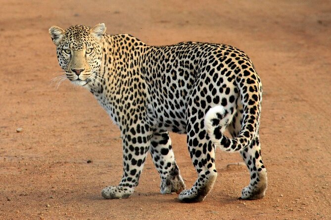 Serengeti & Ngorongoro 3 Days Budget Safari - Arusha To Serengeti: The Long Drive That Sets the Tone