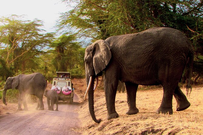 Serengeti & Ngorongoro 3 Days Budget Safari - Simba Campsite and What Camping Changes