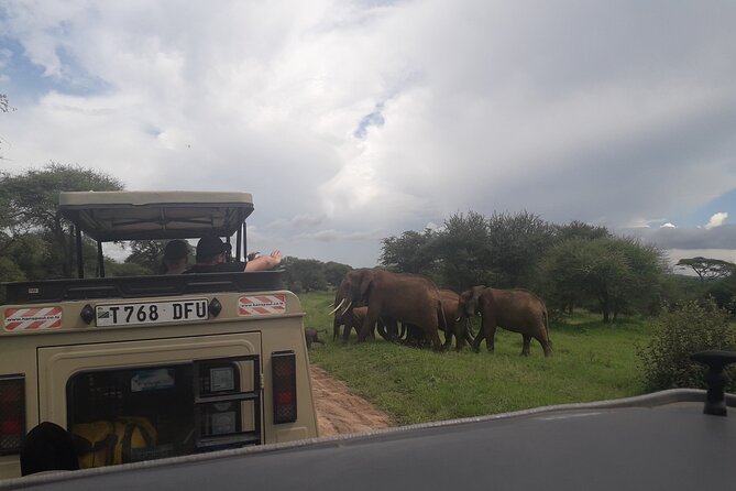 Serengeti & Ngorongoro 3 Days Budget Safari - The Rift Valley Drive: Why the Route Adds Real Meaning