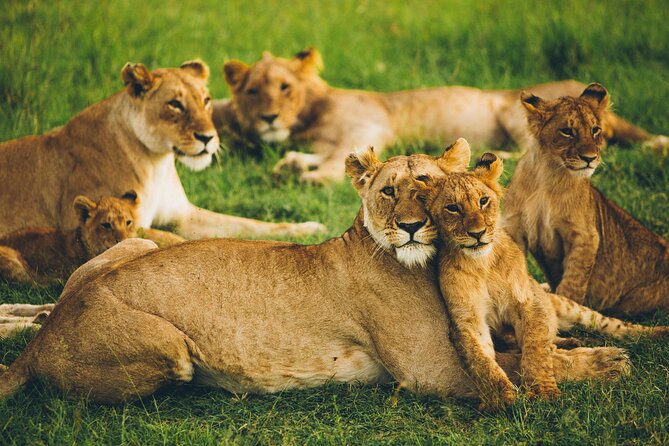 Serengeti & Ngorongoro 3 Days Budget Safari - Price and Value: What $850 Really Buys You Here