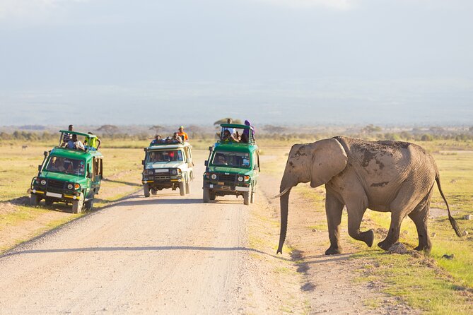 Serengeti & Ngorongoro fly in safari - Why this fly-in Serengeti and Ngorongoro plan works