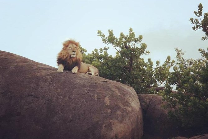 Serengeti & Ngorongoro fly in safari - Meals, camping gear, and what’s actually included