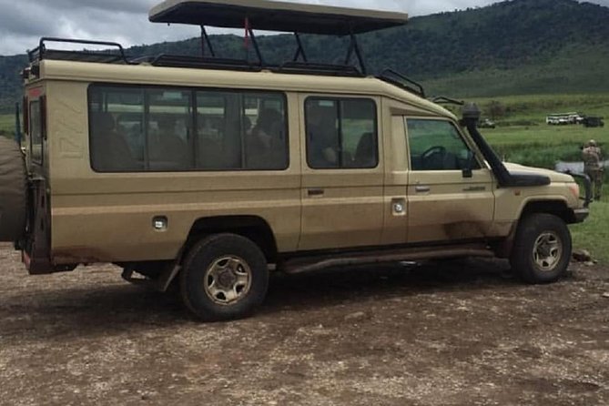 serengeti, ngorongoro & tarangire 4 days private tour - Tarangire First, Because Elephants and Big Presence Set the Tone