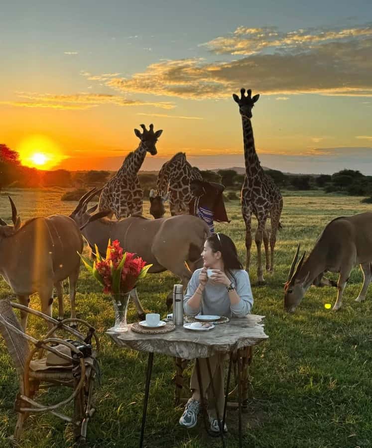 SERVAL WILDLIFE DAY - TOUR FROM ARUSHA, MOSHI OR ZANZIBAR. - Key highlights worth planning around