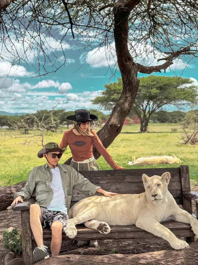 SERVAL WILDLIFE DAY - TOUR FROM ARUSHA, MOSHI OR ZANZIBAR. - What you actually get for $600 per group up to 2
