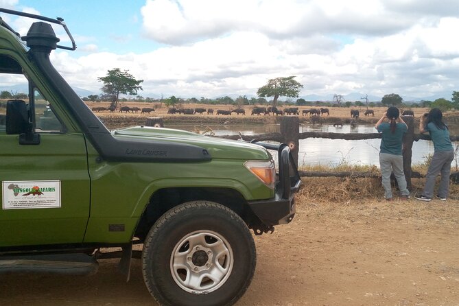 Short Safari from Dar es Salaam to Mikumi National Park - 2 Days - Guides, driving style, and the small things that change your day