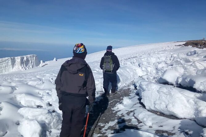 Small-group 7-day Lemosho Route Kilimanjaro Climb from Arusha - Pacing and acclimatization: how this schedule protects your body