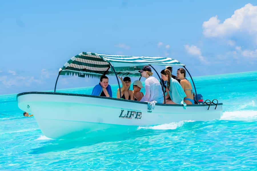 Snorkel Mnemba’s Reefs & Swim with Dolphins Adventure - Reef reality: coral, fish, and why crowded conditions can change the mood
