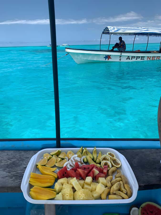 Snorkeling and swimming with dolphins in mnemba island - Dolphin Watching: The Thrill and the Reality
