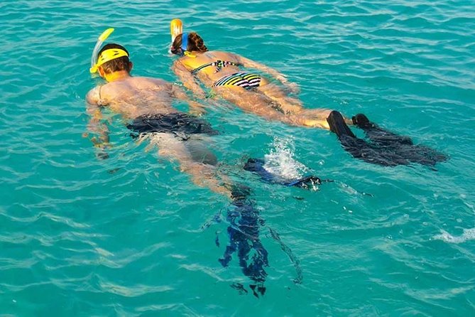 Snorkeling at Mnemba Atoll - Key things you will notice on Mnemba Atoll