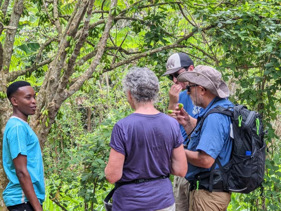 Spice Farm Bike Tour: Pedal Through Aromatic Adventures - The Spice Farm Walk: Fruits, Touch Smell Taste, and Spice Growing Stories