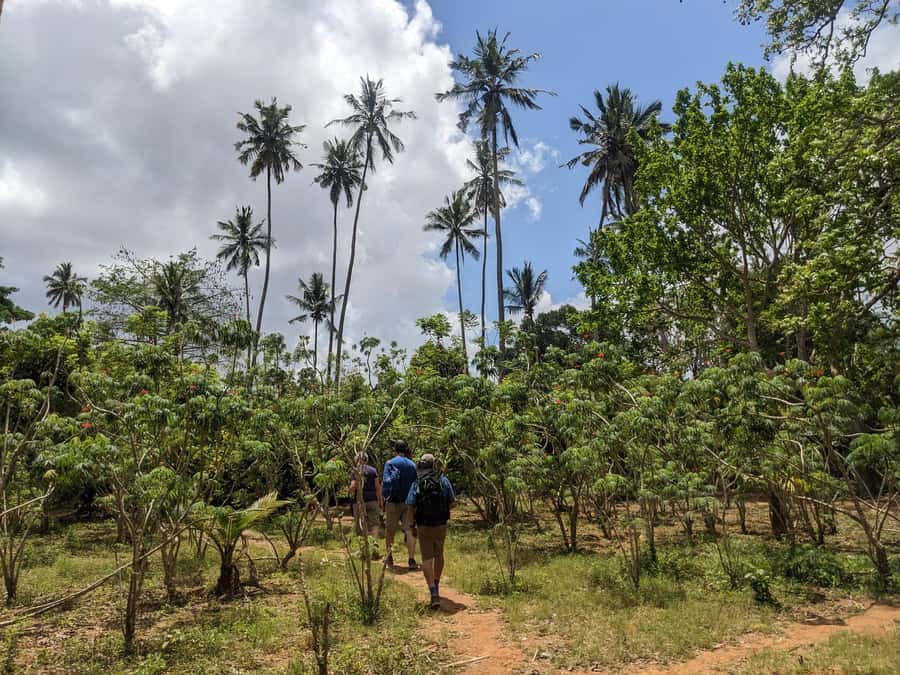 Spice Farm Bike Tour: Pedal Through Aromatic Adventures - Swahili Lunch on the Farm: A Real Meal, Not a Tourist Placeholder