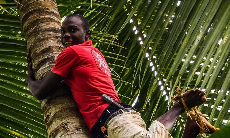 Spice Farm - spice up your life in Zanzibar - The Walk Through the Spice Plantation, Smell Is the Curriculum