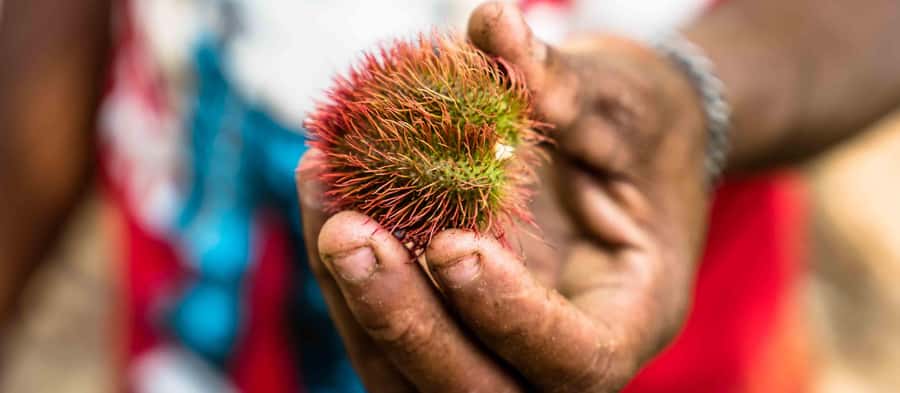 Spice Farm - spice up your life in Zanzibar - Hotel Pick-Up and the Day You Can Actually Enjoy