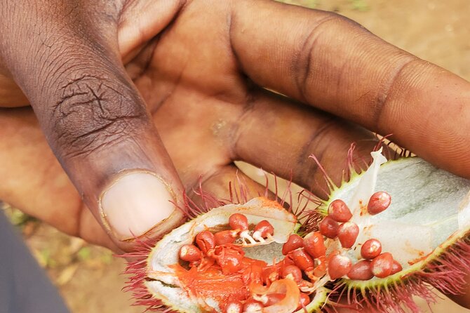 Spice Tour Zanzibar - Who this tour fits best (and who might want a different option)
