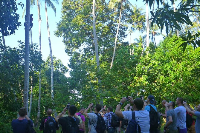 Spices and Stone Town Tour in Zanzibar - Guide Quality, Group Size, and When It Feels Like a Private Tour