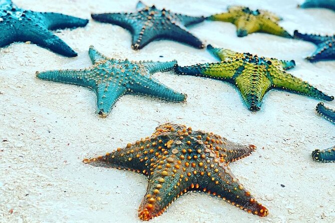 Starfish Adventure; The Rock Restaurant; Kuza Cave, Salaam Cave - The Rock Restaurant seafood break in Michamvi Pingwe