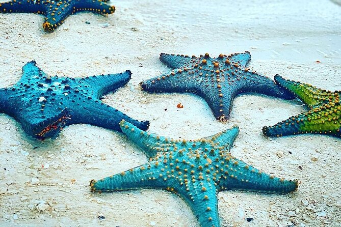 Starfish Beach; The Rock; Paje Beach; Jozani Forest; Salaam Cave - Price and logistics: $150, private transport, and where extra costs show up