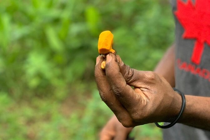 STONE TOWN and SPICE FARM TOUR ( Lunch Included ) - Stone Town walking route: House of Wonders, old slave market, and the famous homes