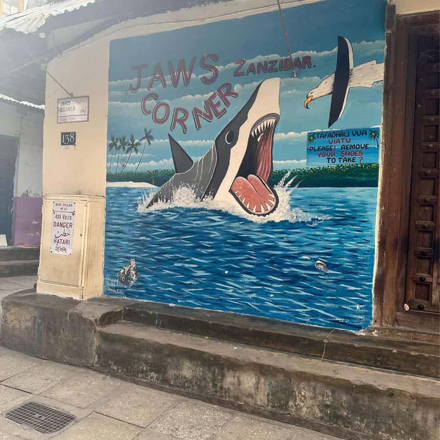 Stone Town Guided Tour: Culture, Slave Market & Spice Market - Key highlights worth your time