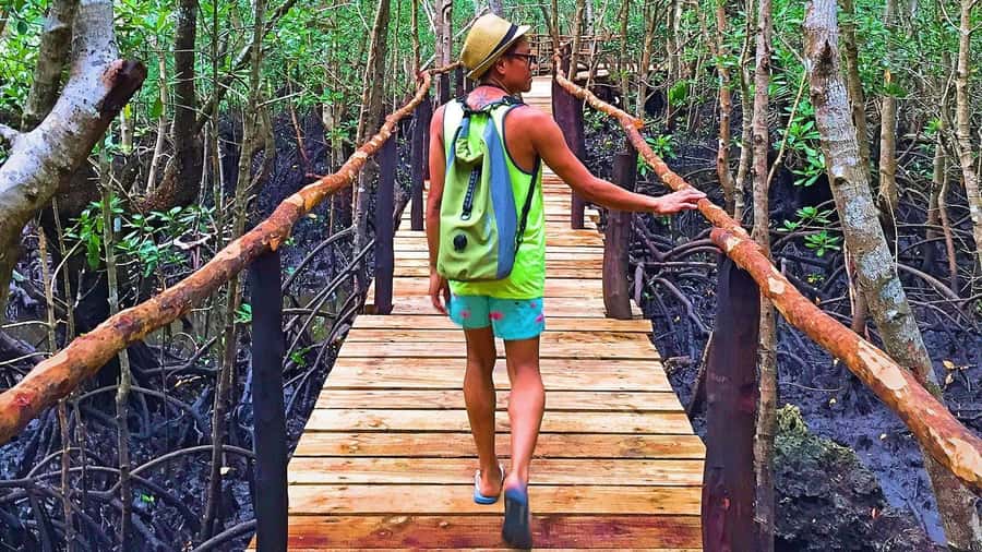 Stone Town: Jozani Chwaka Bay National Park Half-Day Tour - Key things to know before you go
