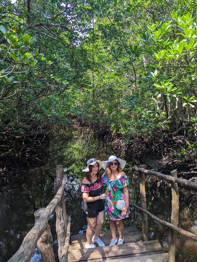 Stone Town: Jozani Chwaka Bay National Park Half-Day Tour - Price and value: is $110 worth a half-day?