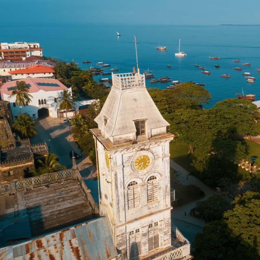 Stone Town, Jozani Forest, Sea Turtles & The Rock Restaurant - Should You Book This Zanzibar Day of Stone Town, Turtles, and The Rock?