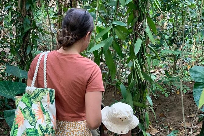 STONE TOWN, PRISON ISLAND AND SPICE FARM ( Lunch included ) - Who This Tour Suits Best (and Who Might Want Something Else)
