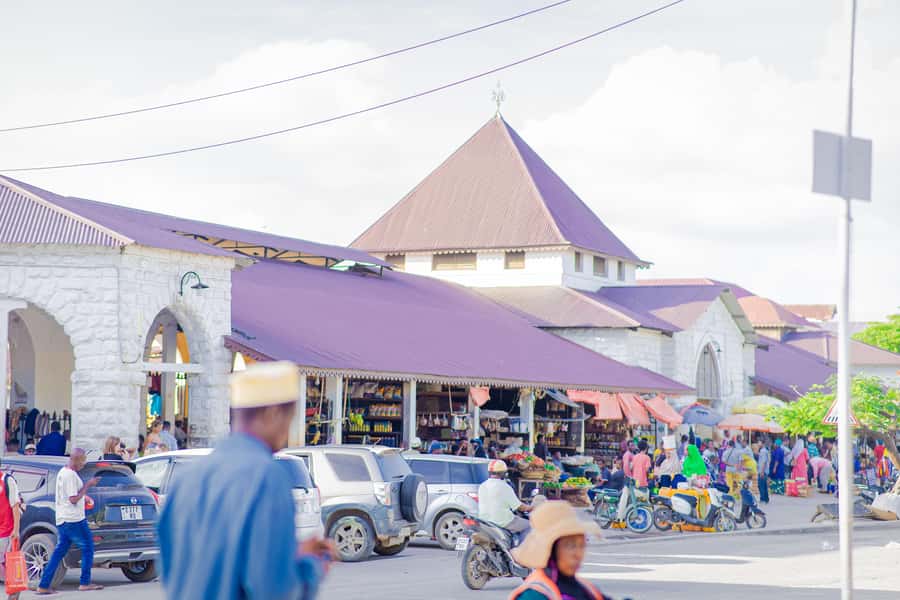 Stone Town's Hidden History: Private Guided Walking Tour - Freddy Mercury’s museum and the option that controls your budget