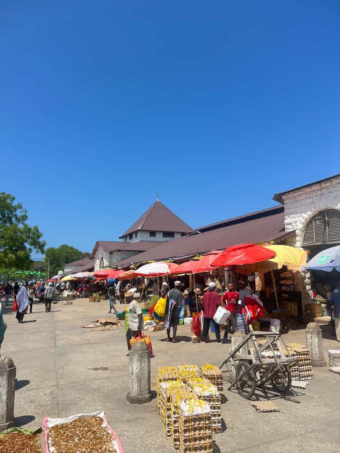 Stone Town's Hidden History: Private Guided Walking Tour - Price and logistics: why $30 can feel fair