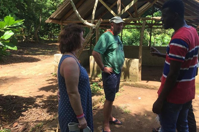 Stone Town, Spice Farm and Jozani Forest Private Tour - Jozani Chwaka Bay National Park: Red Colobus Monkeys and the Mangrove Boardwalk