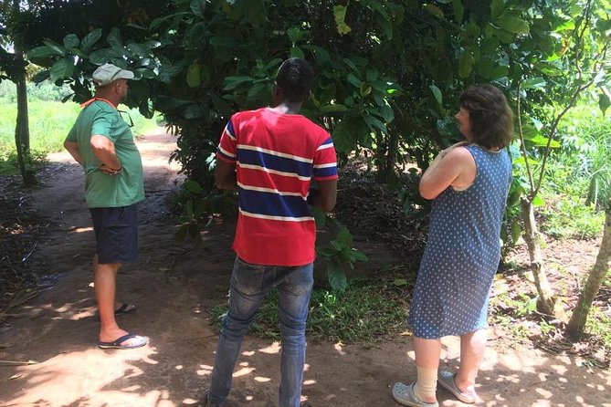 Stone Town, Spice Farm and Jozani Forest Private Tour - Should You Book This Tour?