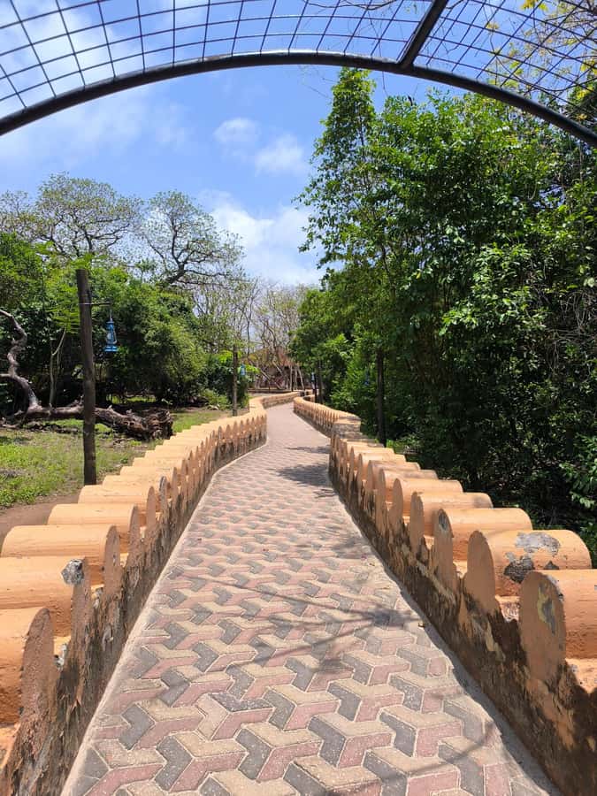 Stone town tour, Prison island and Nakupenda Sandbank - Key things you should know before you go