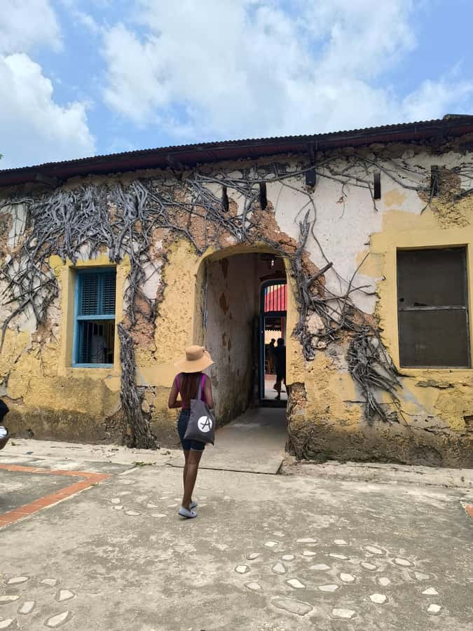 Stone town tour, Prison island and Nakupenda Sandbank - Prison Island: Aldabra tortoises plus a surprising colonial story