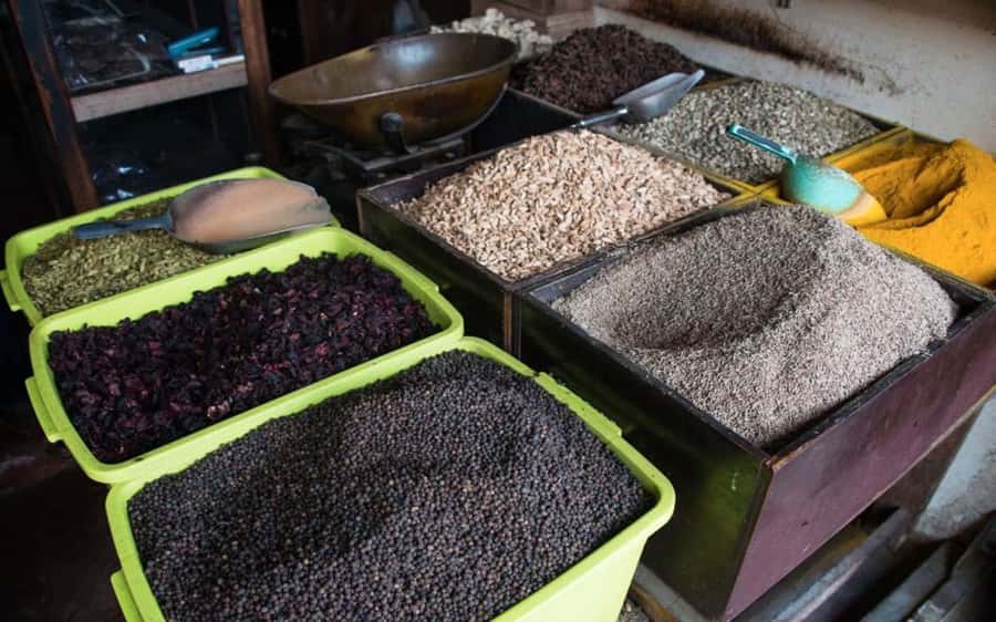 Stone Town Tour, Prison Island and Spice Tour with Lunch - Who should book this tour, and who might skip it