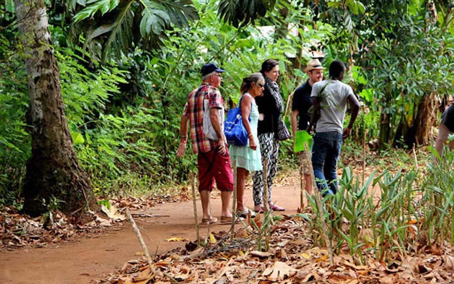 Stone Town Tour, Prison Island and Spice Tour with Lunch - Spice Farm: cloves, fruits, and a Swahili lunch you’ll want to remember