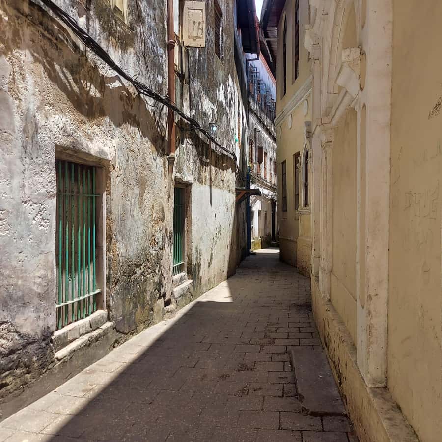 Stone town walking tour ( City tour) - Key highlights you should know before you go