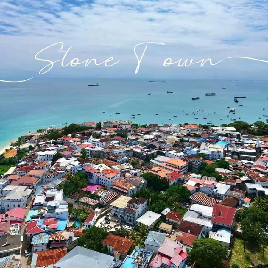 Stone Town Walking Tour with Female Guides - Price and Value: What $19 Covers (and What It Doesn’t)